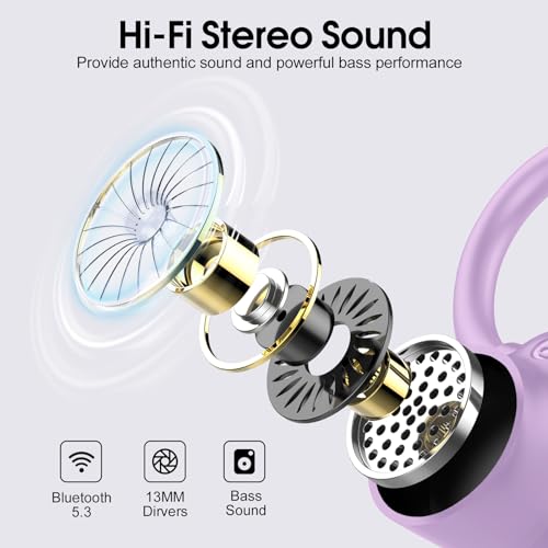 Wireless Earbuds, 2023 Earphones Bluetooth 5.3 Headphones Wireless, Earbuds with Earhooks,Waterproof Stereo Headphones Sport, Dual LED Display, Black