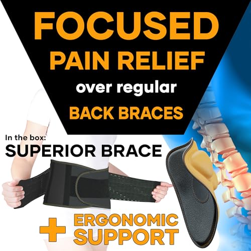 MEDiBrace Back Support Belt Back Brace for Lower Lumbar Pain Relief for Men and Women - Medical Grade Orthopaedic Waist Compression for Sciatica Nerve, Scoliosis