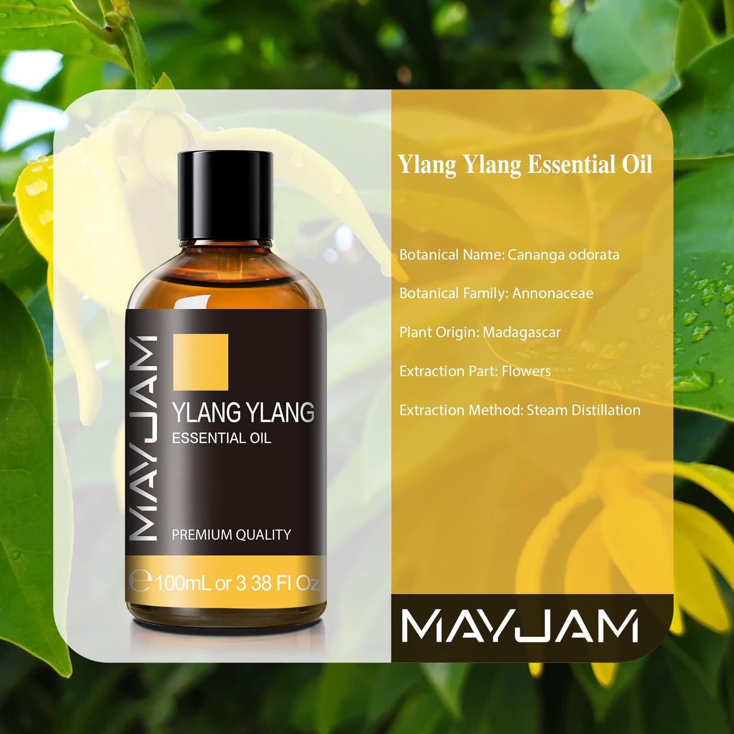 MAYJAM Lavender Essential Oils 100ML, Lavender Oil for Diffuser, Humidifier, DIY, Home, Office