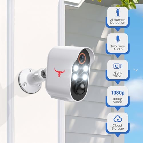 Aiwit 1080p Wireless Security Camera