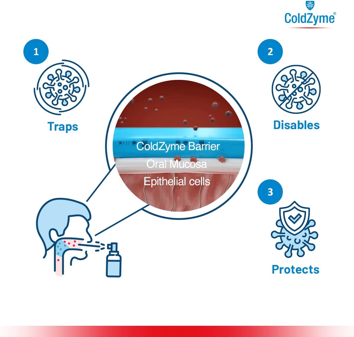 ColdZyme Mouth & Throat Spray Reducing a Cold by up to 3.5 Days - Deactivates Cold viruses - Use at First Signs of a Cold (Scratchy Throat, runny Nose) - Menthol Flavour 7 ml