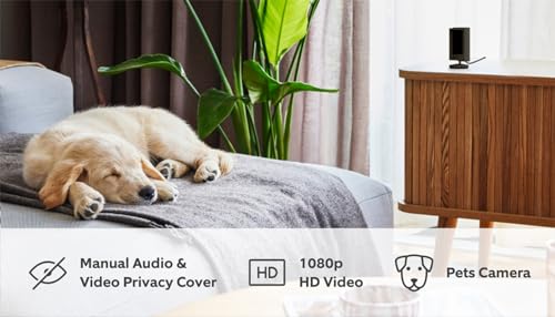 Ring Indoor Camera (2nd Gen) by Amazon | Plug-In Pet Security Camera | 1080p HD, Two-Way Talk, Wifi, Privacy Cover, DIY | alternative to CCTV system | 30-day free trial of Ring Protect