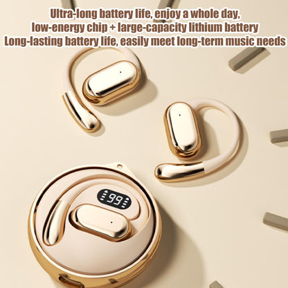 AI Language Translator Earphones – Real-Time Wireless Translation & Music Headset (Delivery time -10 Working Days)