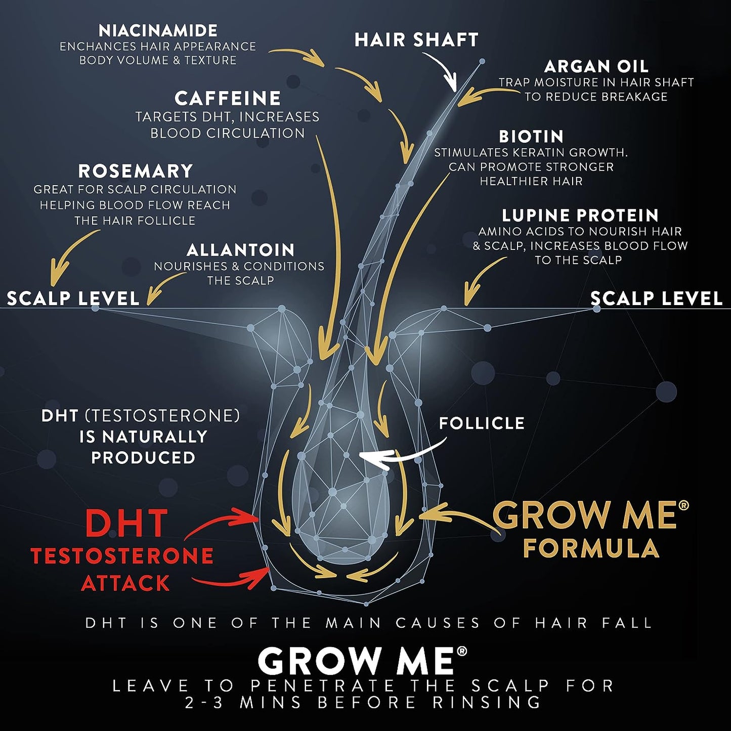 Grow Me® Hair Growth Shampoo - Caffeine Biotin, Argan Oil, Rosemary, Niacinamide. Hair Thickening Treatment Women & Men