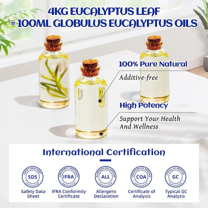 Eucalyptus Essential Oil, 100% Pure Natural for Diffuser, Humidifier, Aromatherapy, Hair, Body, Bath, Skin Care -HIQILI (100ML)3.38 Fl. Oz